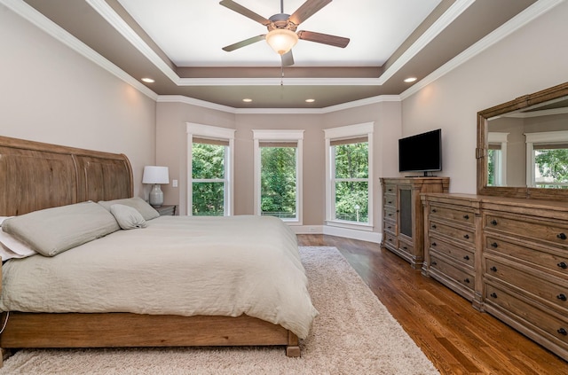 517 Burnett Rd, Mount Juliet, TN 37122 - bedroom featuring a tray ceiling, multiple windows, dark wood-style flooring, recessed lighting, and ornamental molding