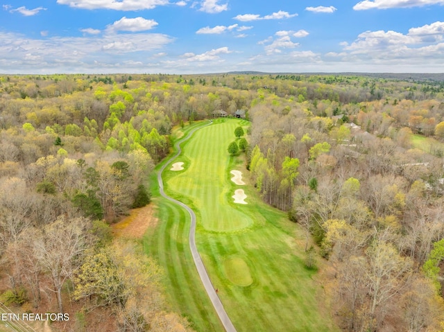 187 Forest View Dr, Crossville, TN 38558 - drone / aerial view of a heavily wooded area and a golf club