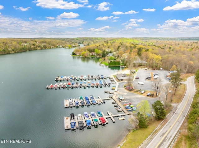 187 Forest View Dr, Crossville, TN 38558 - bird's eye view of a nearby body of water
