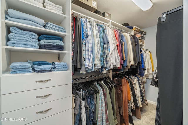 187 Forest View Dr, Crossville, TN 38558 - spacious closet featuring carpet floors