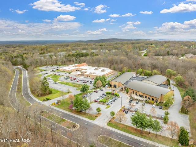 187 Forest View Dr, Crossville, TN 38558 - drone / aerial view of a heavily wooded area