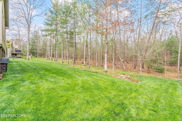 187 Forest View Dr, Crossville, TN 38558 - view of green lawn