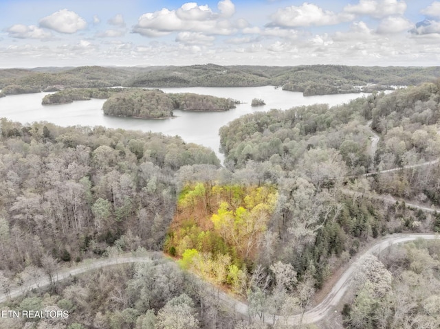 736 Russell Brothers Rd, Sharps Chapel, TN 37866