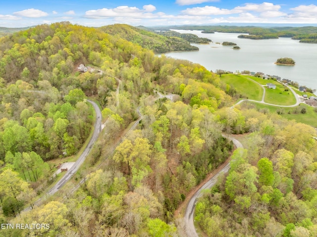736 Russell Brothers Rd, Sharps Chapel, TN 37866