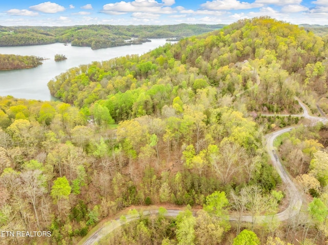 736 Russell Brothers Rd, Sharps Chapel, TN 37866