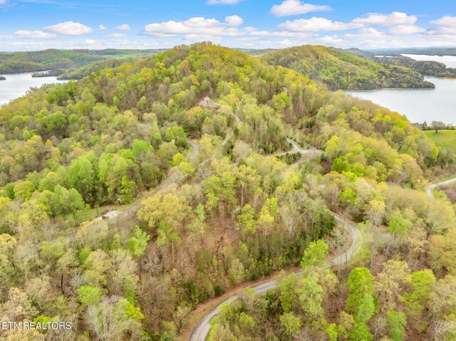736 Russell Brothers Rd, Sharps Chapel, TN 37866
