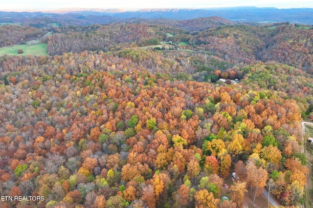 6 Walker Rd, Sharps Chapel, TN 37866 - photo 5