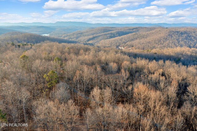 6 Walker Rd, Sharps Chapel, TN 37866 - photo 10