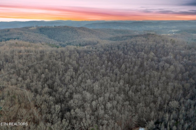 7 Walker Rd, Sharps Chapel, TN 37866 - photo 5