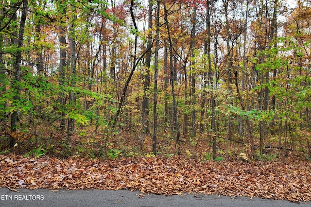 7 Walker Rd, Sharps Chapel, TN 37866 - photo 3