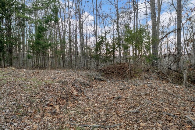 7 Walker Rd, Sharps Chapel, TN 37866 - photo 7