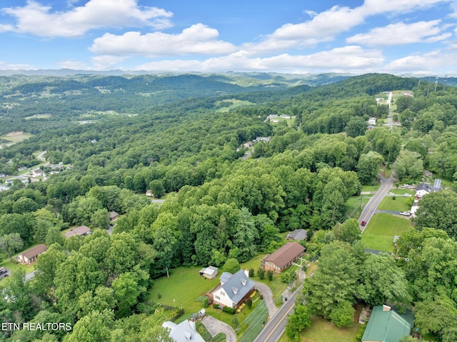 4820 Edens View Rd, Kingsport, TN 37664 - photo 7