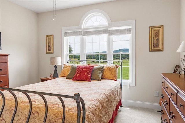 379 Hooper Rd, Winchester, TN 37398 - carpeted bedroom featuring multiple windows