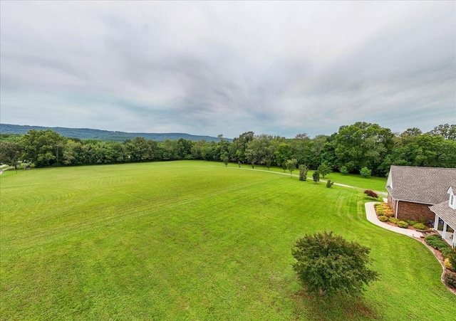 379 Hooper Rd, Winchester, TN 37398 - view of grassy yard