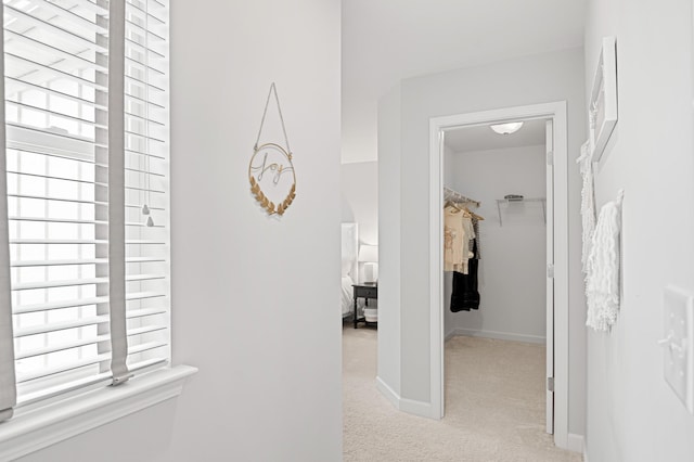 2636 Bramblewood Ln, Thompsons Station, TN 37179 - hall featuring light carpet and baseboards