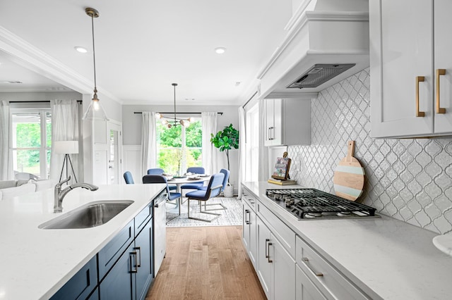 2636 Bramblewood Ln, Thompsons Station, TN 37179 - kitchen with appliances with stainless steel finishes, premium range hood, crown molding, light wood-type flooring, and plenty of natural light