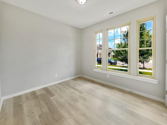 795 Ewell Farm Dr, Spring Hill, TN 37174 - unfurnished room with plenty of natural light and light wood-style flooring
