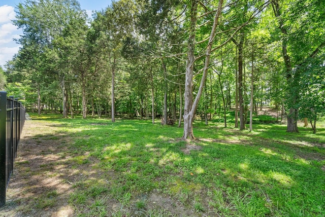 1220 Reda Dr, Clarksville, TN 37042 - photo 56