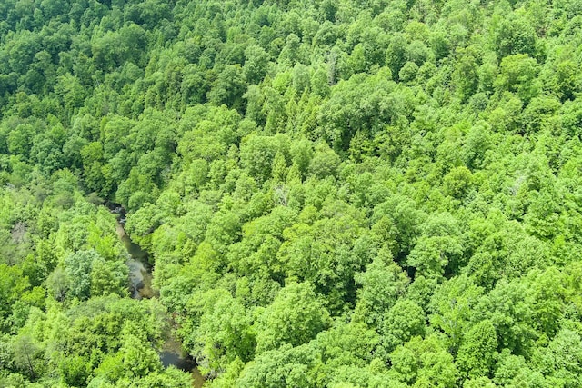 7040 Fallen Timber Ln, Crawford, TN 38554 - photo 66