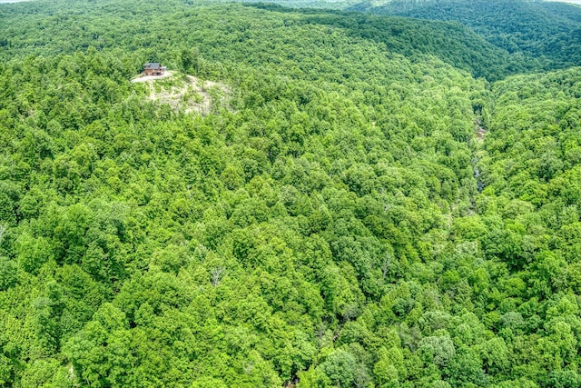 7040 Fallen Timber Ln, Crawford, TN 38554 - photo 70