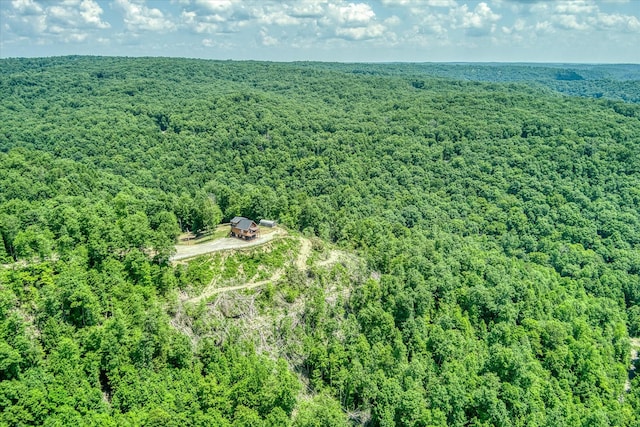 7040 Fallen Timber Ln, Crawford, TN 38554 - photo 19