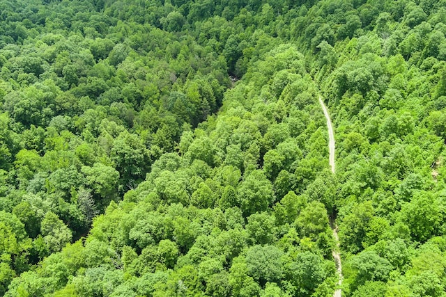 7040 Fallen Timber Ln, Crawford, TN 38554 - photo 64