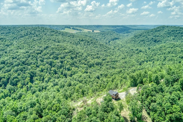7040 Fallen Timber Ln, Crawford, TN 38554 - photo 17