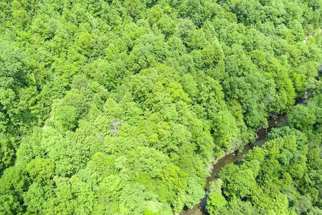 7040 Fallen Timber Ln, Crawford, TN 38554 - photo 69