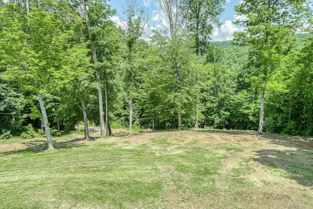 7040 Fallen Timber Ln, Crawford, TN 38554 - photo 9
