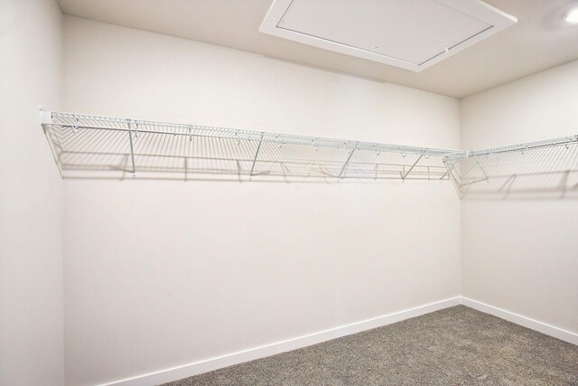 8308 Marchwood Blvd, Antioch, TN 37013 - photo 48