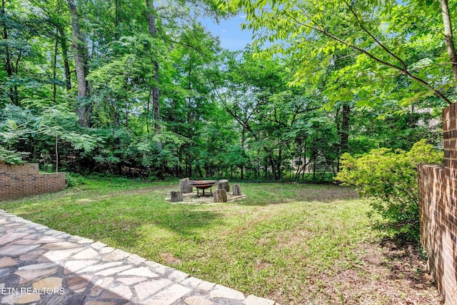 6112 Batson Ln, Knoxville, TN 37919 - photo 35