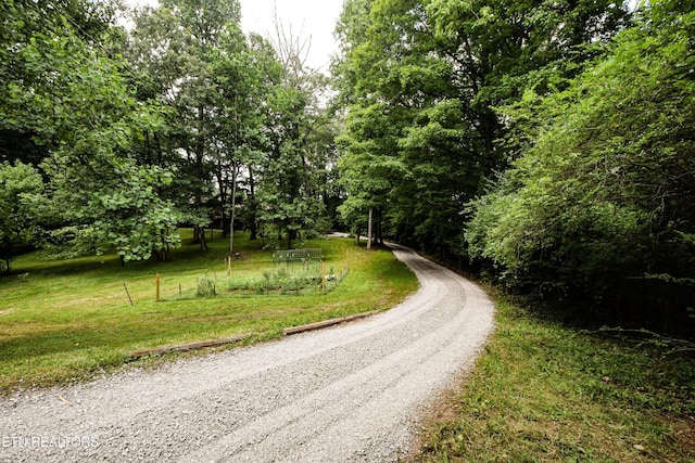 6112 Batson Ln, Knoxville, TN 37919 - photo 42