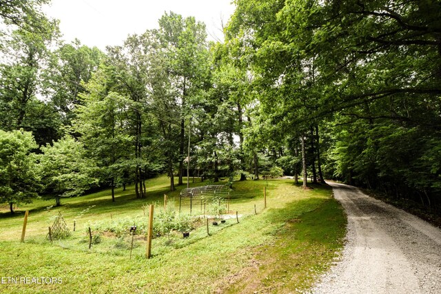 6112 Batson Ln, Knoxville, TN 37919 - photo 41