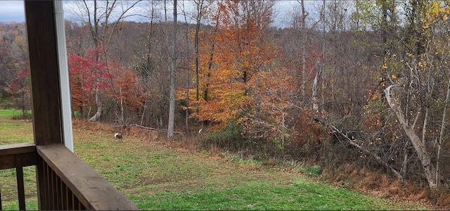 2949 Lancelot Ln, Clarksville, TN 37040 - photo 33