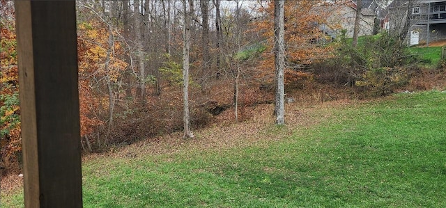 2949 Lancelot Ln, Clarksville, TN 37040 - photo 38