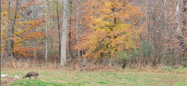 2949 Lancelot Ln, Clarksville, TN 37040 - photo 37