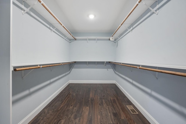 33 Maple Ln, Summertown, TN 38483 - spacious closet with dark wood finished floors