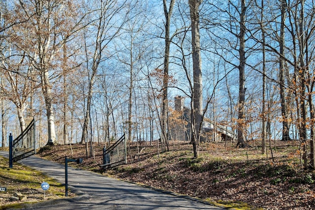 3122 New Hope Rd, Hendersonville, TN 37075 - photo 34