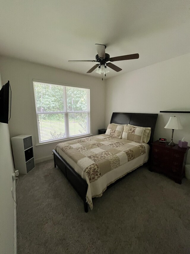 2517 Franklin Pike, Lewisburg, TN 37091 - photo 22