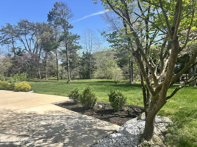 57 Riverview Dr, Oak Ridge, TN 37830 - view of grassy yard