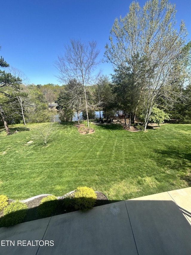 57 Riverview Dr, Oak Ridge, TN 37830 - view of grassy yard