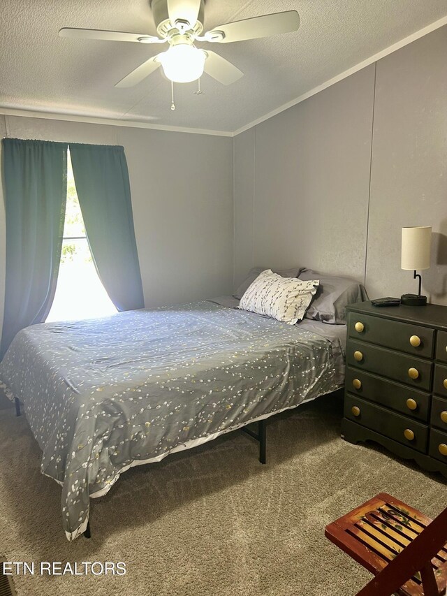 630 Butler Mill Rd, Oliver Springs, TN 37840 - photo 16