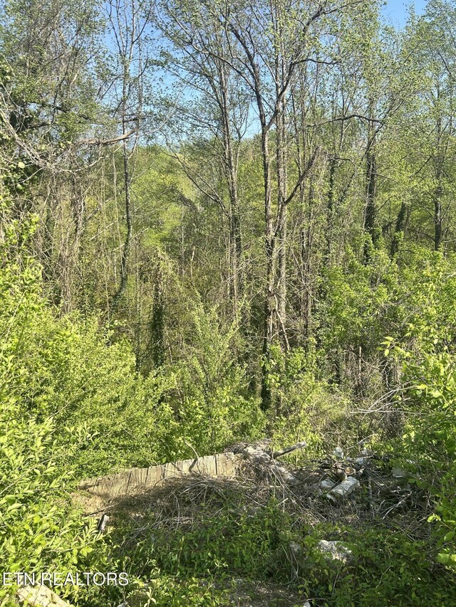 630 Butler Mill Rd, Oliver Springs, TN 37840 - photo 22