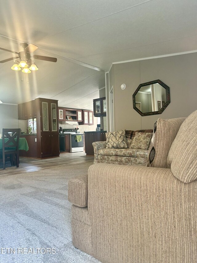 630 Butler Mill Rd, Oliver Springs, TN 37840 - photo 9