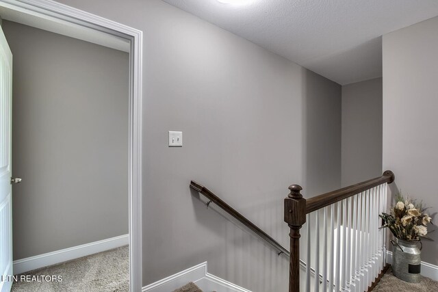235 Bluff Shadows Ln, Seymour, TN 37865 - photo 26