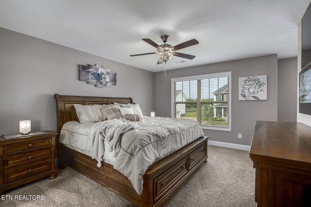 235 Bluff Shadows Ln, Seymour, TN 37865 - photo 27