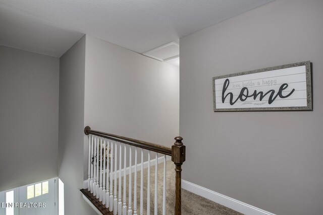 235 Bluff Shadows Ln, Seymour, TN 37865 - photo 34