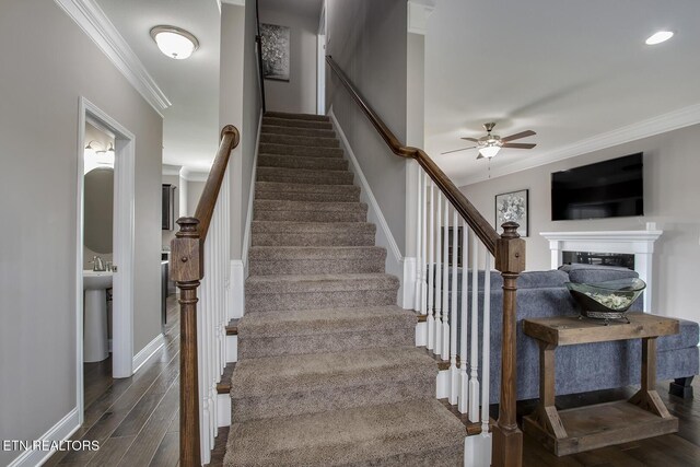 235 Bluff Shadows Ln, Seymour, TN 37865 - photo 25
