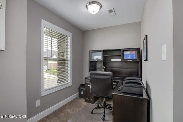 235 Bluff Shadows Ln, Seymour, TN 37865 - photo 28