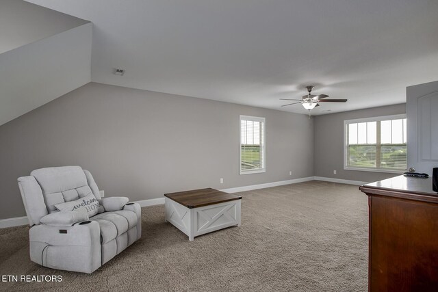 235 Bluff Shadows Ln, Seymour, TN 37865 - photo 43